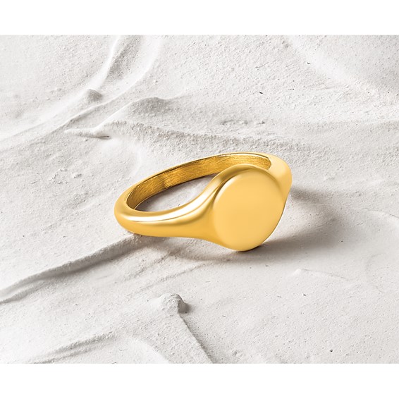 Chisel Stainless Steel Polished Yellow IP-Plated Round Disk Ring